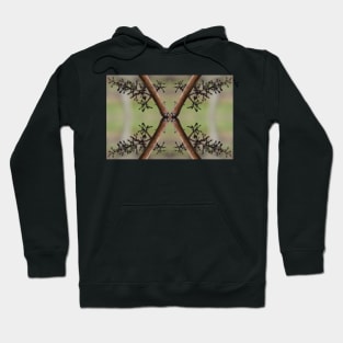 X Marks the Spot  by Avril Thomas Hoodie